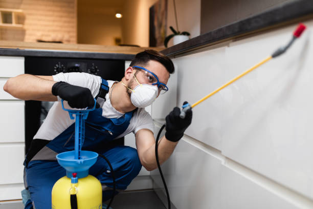 Professional Pest Control in Franklin Park, PA