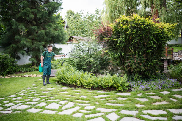Best Pest Inspection Near Me  in Franklin Rk, PA